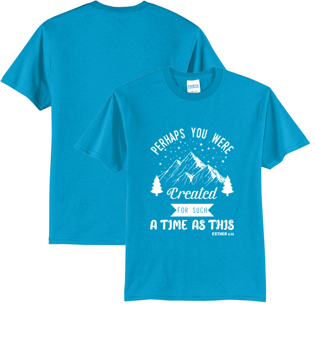 Core Blend Tee for design 001027