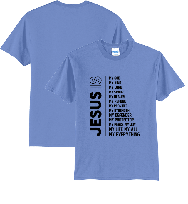 Preview Carolina Blue